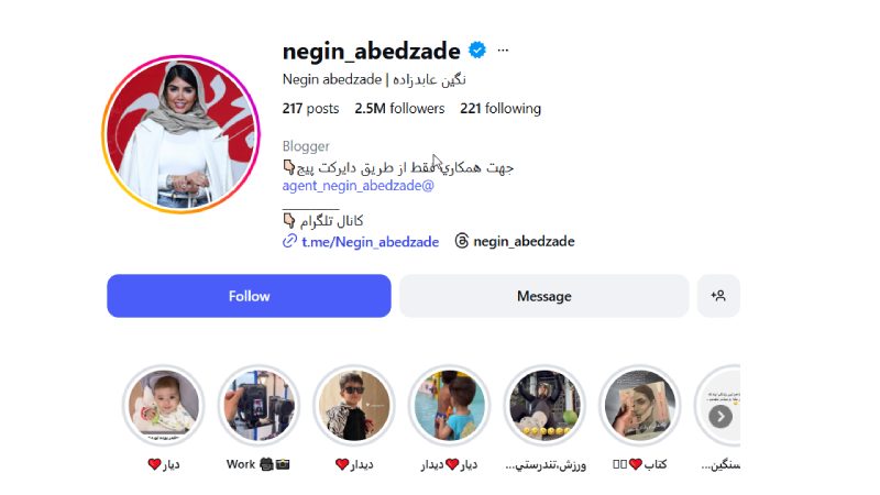 بیوگرافی کامل نگین عابدزاده: از زندگی شخصی تا موفقیت حرفه‌ای در اینستاگرام